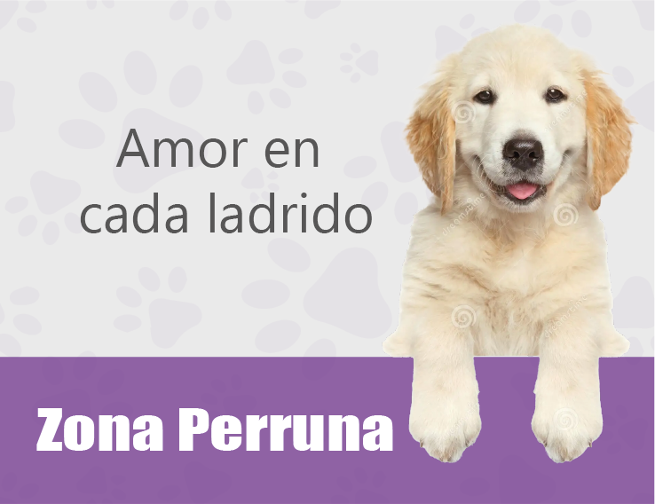 Solo para Cat Lovers