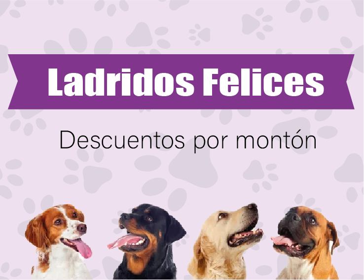 Solo para Dog Lovers